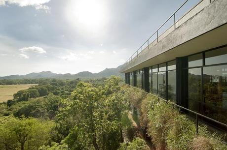 ...porque te quiero ver cada mañana ...porque te quiero ver cada mañana