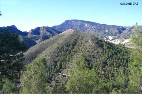 vista de la bastida desde el oeste La Bastida (Murcia)