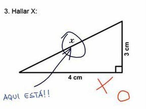 Las 10 respuestas divertidas de exámenes – NOTICIAS DIVERTIDAS