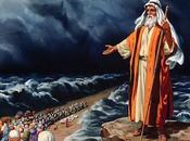 medio prueba, hagan tres cosas