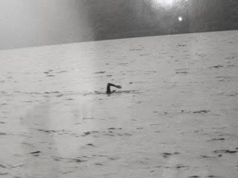 ANEXO POÉTICO SOBRE WHATSAPP #POLÍGONOS INDUSTRIALES (I)