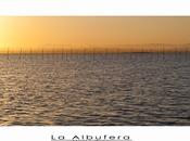 Albufera