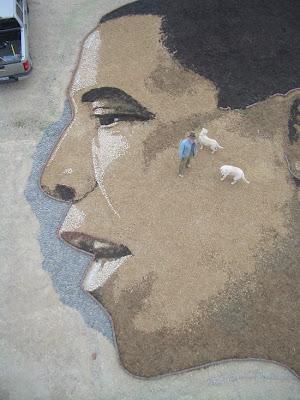 Los paisajes de Stan Herd