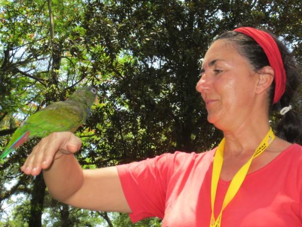 IGUAZÚ  2012