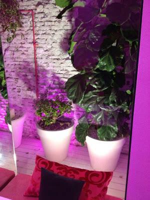 Un sitio para cenar y sorprender - Miss Sushi Un sitio para cenar y sorprender - Miss Sushi