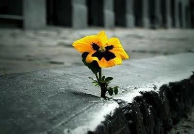 NADA PUEDE LIMITAR A LA AUTÉNTICA VIDA