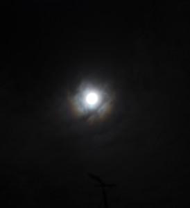 LUNA LLENA… DE POESÍA