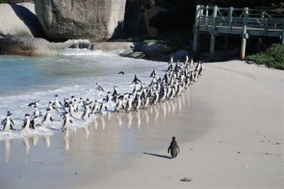 Sudáfrica: Ciudad del Cabo I