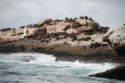 Sudáfrica: Mossel Bay