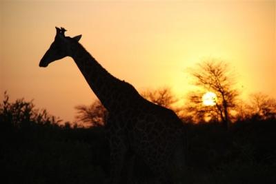 Sudáfrica: Blyde Canyon y P.N.Kruger