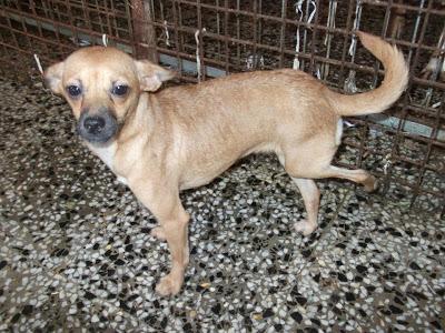 TOTANA NECESITA VUESTRA AYUDA !! (MURCIA)