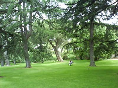 Visita al milagro del jardín del Capricho, donde poesía, filosofía y Naturaleza se unen en armonía