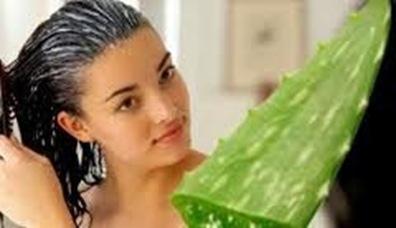 Como preparar gel de aloe vera casero para el cabello