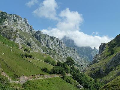 Picos de Europa