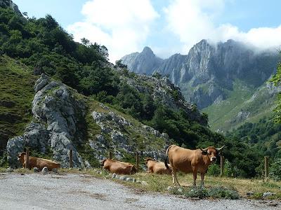 Picos de Europa