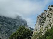 Picos europa