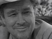 Vidas película Johnson