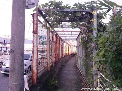 ¡Finalista en premios Bitacoras! & Regreso a mi pasado nipón. Hoy: Kawagoe