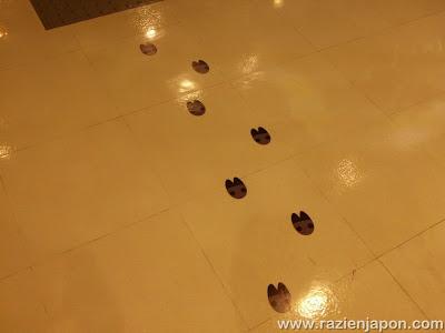 Tienda Oficial de One Piece en Shibuya + RaziAventura Final 2 (Estreno!)