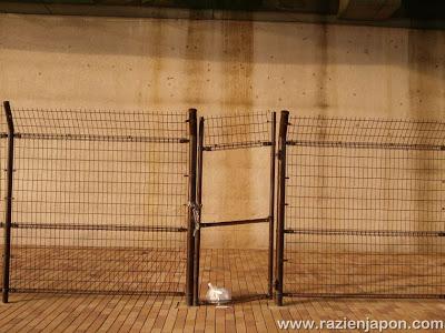 El paseo mas largo de mi vida