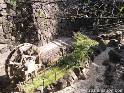 El paseo mas largo de mi vida