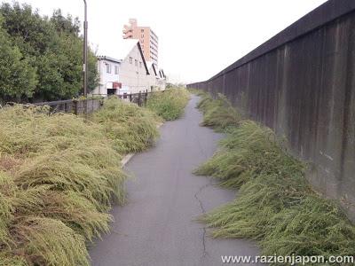 El paseo mas largo de mi vida