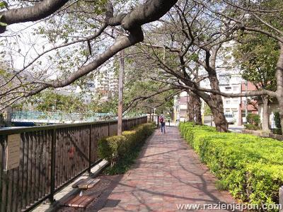 El paseo mas largo de mi vida