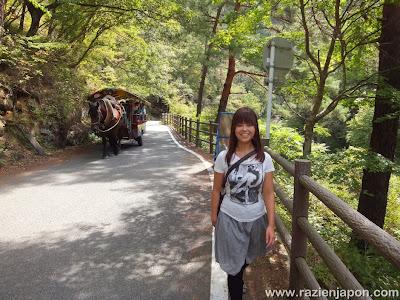 Visita a YAMANASHI