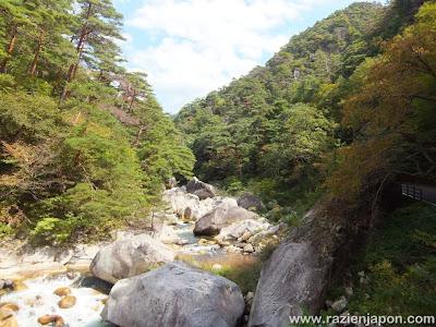 Visita a YAMANASHI