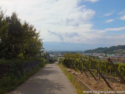 Visita a YAMANASHI