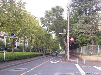 Aventuras en TOJO LINE (2ª parte)