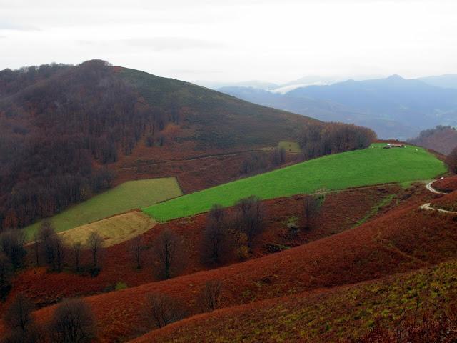 Día de arquitectura natural