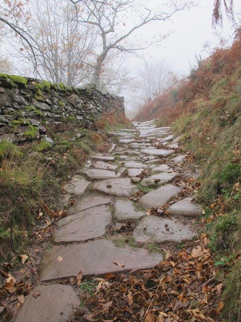 Día de arquitectura natural