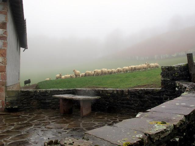 Día de arquitectura natural