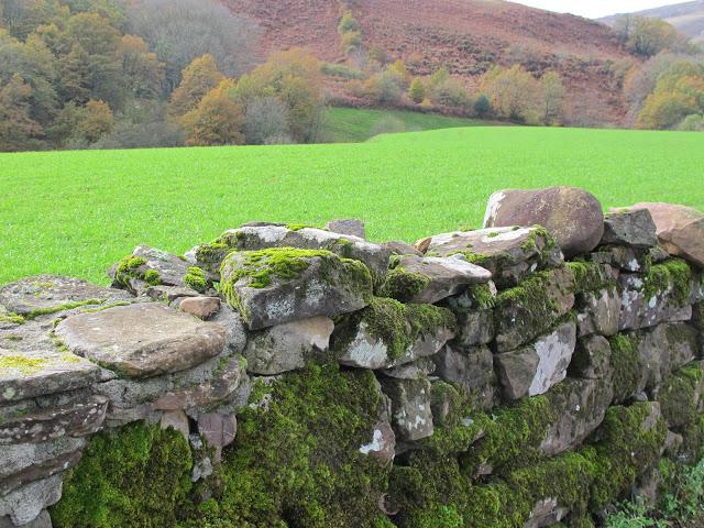 Día de arquitectura natural