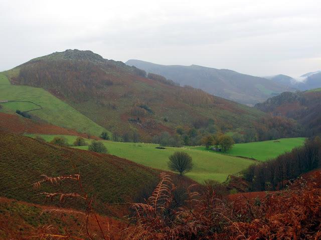 Día de arquitectura natural