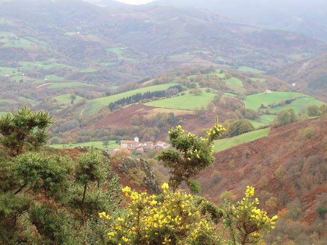 Día de arquitectura natural