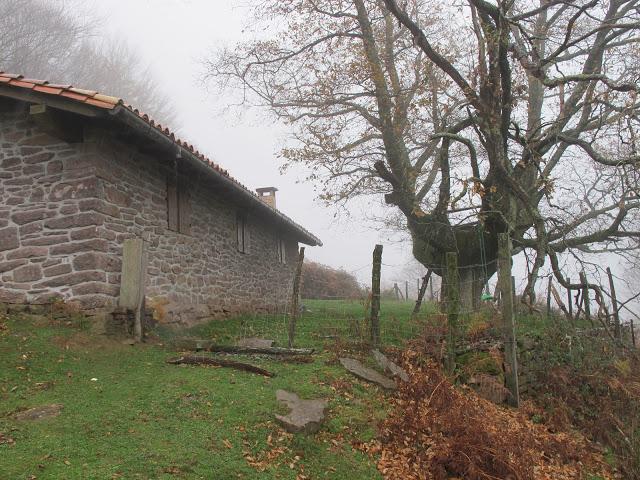 Día de arquitectura natural