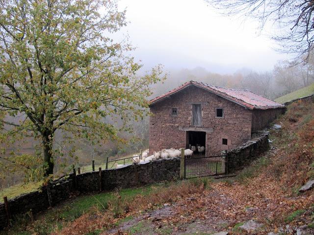 Día de arquitectura natural