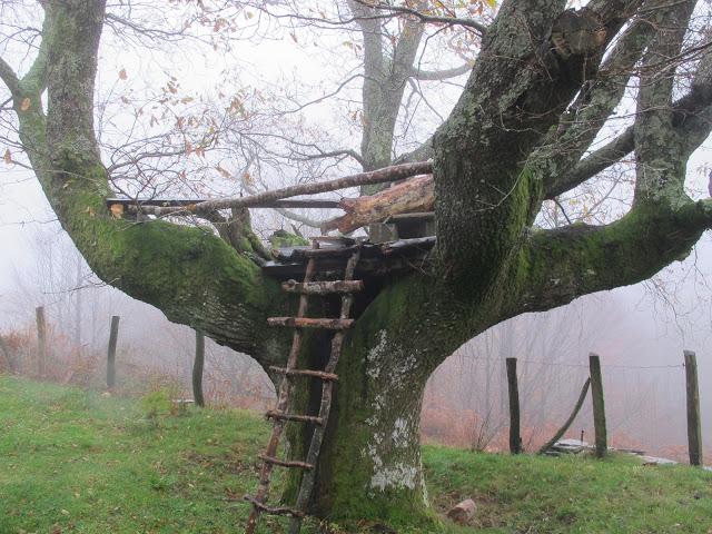 Día de arquitectura natural