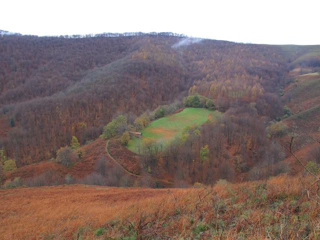 Día de arquitectura natural