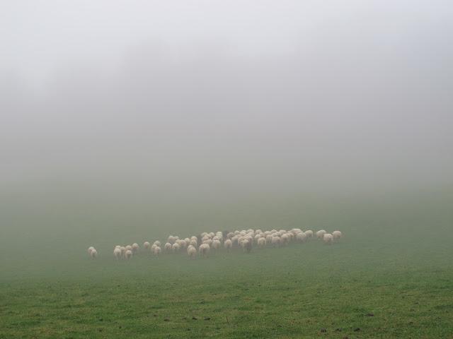 Día de arquitectura natural