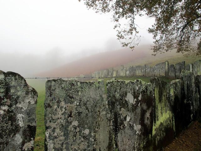 Día de arquitectura natural