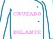 tipos bodies para bebés debes conocer