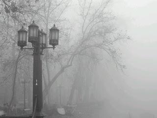 Niebla