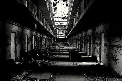 La cadena alimenticia