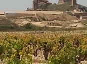 desvío Camino. Rioja