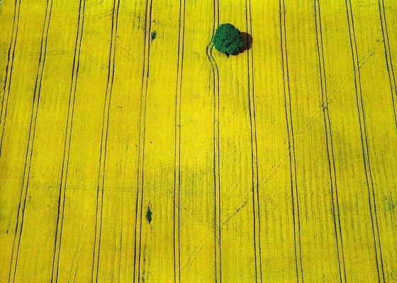 Píldora va, píldora viene…