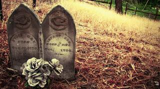 LOS GEMELOS TRAVIESOS