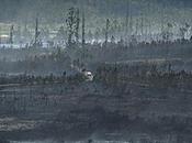 Toda izquierda rodillas ante Estado